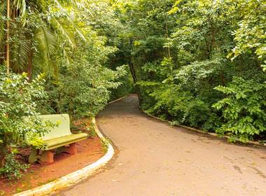 Parque do Ingá  de Banco de Cimento