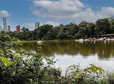 Parque do Ingá  de Lago do Parque do Ingá 01