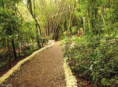 Parque do Ingá  de Caminho das Pedras