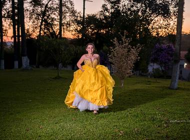 book 15 Anos de Festa 15 Anos Gabi de Paula