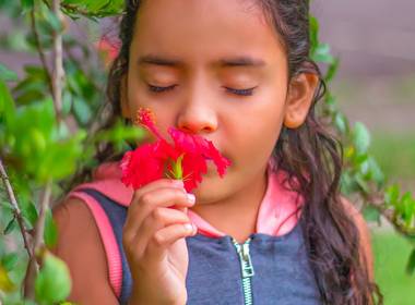 Ensaios de Ensaio da Maria