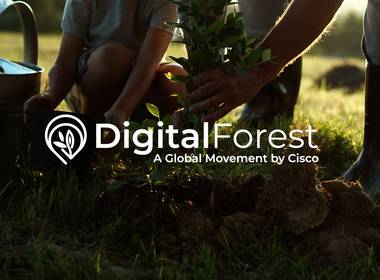 Audiovisual de Digital Forest
