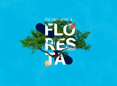 Audiovisual de Projeto Da Semente à Floresta / CISCO BRASIL
