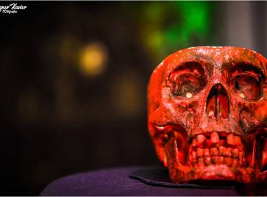 Halloween de The Place English School