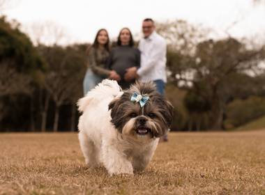 Gestação de Micheli + Jeferson + Valentine + Kim = Benício