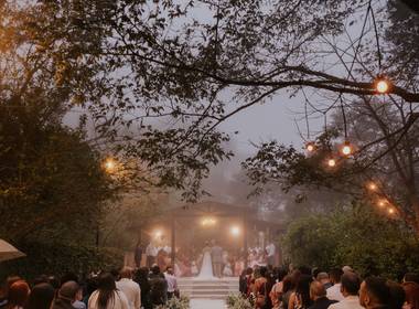 Casamentos de Tamiris + Pedro