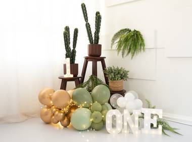 Celebrar (Smash The Cake) de Lucas completou 1 ano