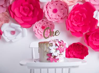 Celebrar (Smash The Cake) de Ayla completou um ano - Smash The Cake