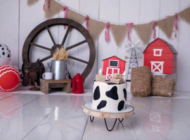 Celebrar (Smash The Cake) de Benício completou um ano - Smash The Cake