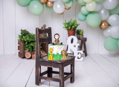 Celebrar (Smash The Cake) de Benjamin - Primeiro ano