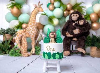 Celebrar (Smash The Cake) de Celebrar do Bento - Primeiro Ano