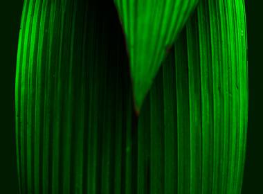 Fotografia de CONTRASTE