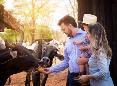 Infantil de Fabrício 2 anos