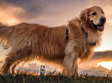 Pré casamento de Letícia e Marcos