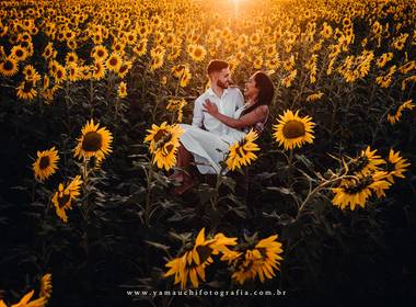 Pré casamento de Ensaio em Holambra Bia e Leo