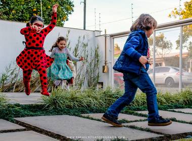 Festa Infantil de 5 Anos - Sofia