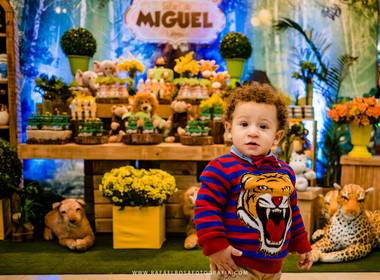 Festa Infantil de 1 Aninho do Miguel