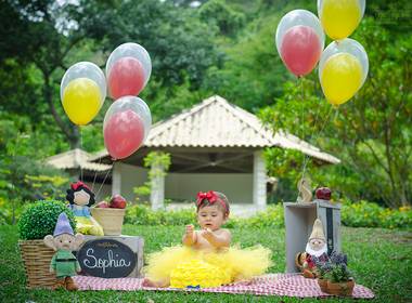 Smash the Cake de Sophia