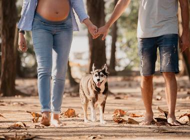 Gestantes - Fabiana Bomfim de Manoela, Rafael e Rebeka (4 patas) à espera da Clara
