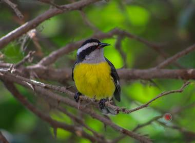 Naturaleza de Ecología