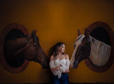 Quince años de Quinces Sophía