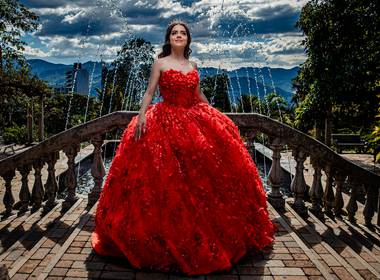 Quince años de Quinces Sara