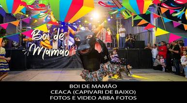 Empresas  de Boi de Mamão de Ceaca (Capivari de Baixo)