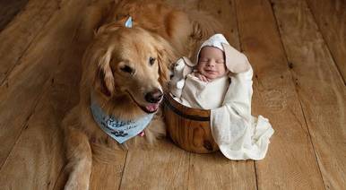Newborn de Ensaio Newborn com Pet da família