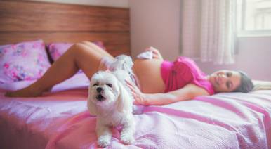 Ensaio Gestante de Lifestyle Ingrid