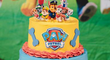 Festa Infantil de Pedro 4 anos