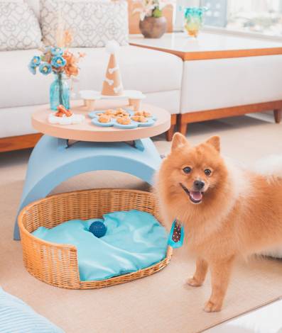 Festa Pet de FESTA PET - BENTO