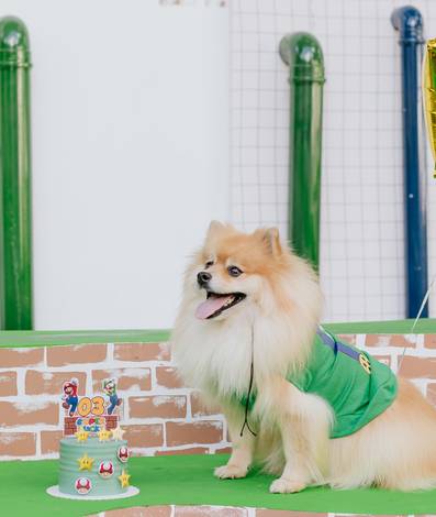 Festa Pet de SUPER LUCKY