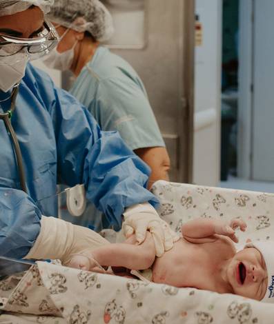 Nascimento de A Chegada do Gustavo