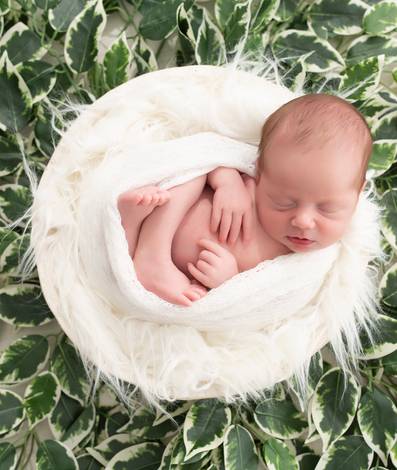 NewBorn de Gabriel  & seus primeiros dias de vida