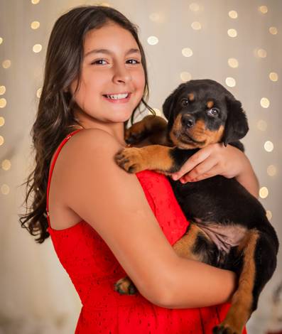 Família de Ensaio de Natal: Ellen & Família