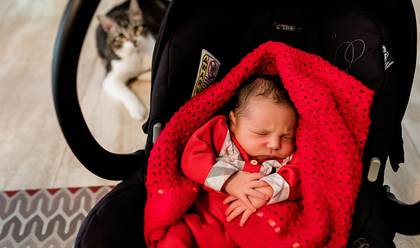 Ensaios de Família de Boas vindas do Giuseppe