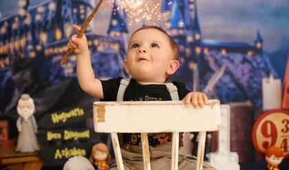 Smash the Cake de Noah Potter