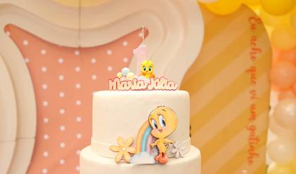 Aniversário Infantil de maju