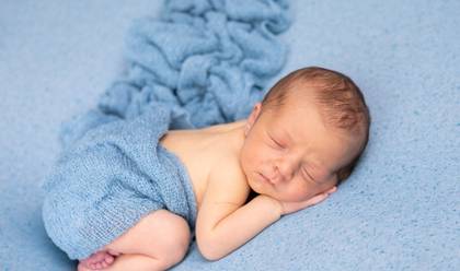 Newborn de Ensaio Newborn 