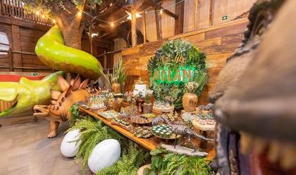 Festa Infantil de Cobertura Festa Infantil 