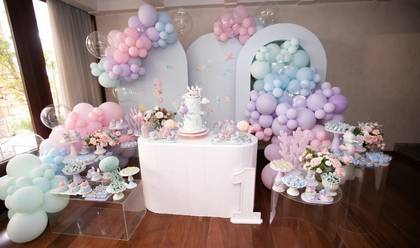 Festa Infantil de Festa Sophia 1 ano