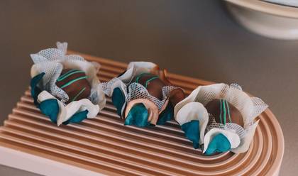 Aniversários de Ana Clara - 15 anos