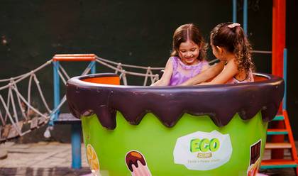 Festa Infantil de 05 anos da Sofia