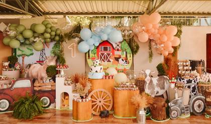 Festa Infantil de Festa 1 ano do José