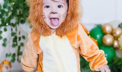 Smash The Cake e bday infantil de Ensaio smash the cake tema rei leão