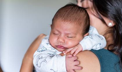 Ensaio Família de Alberto