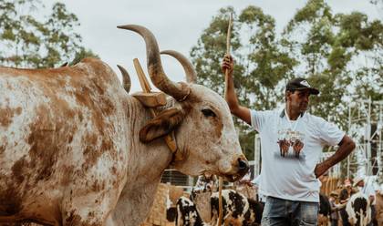 Festas de EXPO QUELUZITO 2022 - DIA 03 - Desfile de Carro de Boi