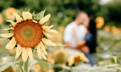 PRÉ-WEDDING de Carol e Rafael Satiro