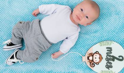 ACOMPANHAMENTOS de THEO