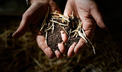 VISUAL STORYTELLING of FIELDS OF HOPE